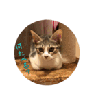 メル と てまり（個別スタンプ：21）