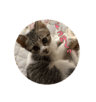 メル と てまり（個別スタンプ：22）