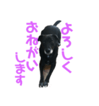 うちのラムくん（個別スタンプ：2）