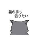 猫の後頭部（個別スタンプ：3）