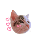 ♡ ume stamp ♡（個別スタンプ：7）