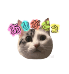 ♡ ume stamp ♡（個別スタンプ：9）