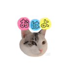 ♡ ume stamp ♡（個別スタンプ：11）