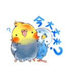 ころインコ。（個別スタンプ：15）