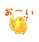 ころインコ。（個別スタンプ：18）