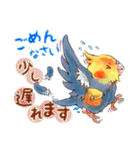 ころインコ。（個別スタンプ：22）