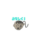 the藤（個別スタンプ：8）