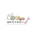 多肉スタンプ 日常会話（個別スタンプ：11）