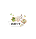 多肉スタンプ 日常会話（個別スタンプ：14）