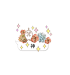 多肉スタンプ 日常会話（個別スタンプ：16）