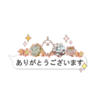 多肉スタンプ 日常会話（個別スタンプ：17）