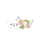 多肉スタンプ 日常会話（個別スタンプ：19）