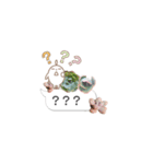 多肉スタンプ 日常会話（個別スタンプ：20）