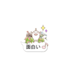 多肉スタンプ 日常会話（個別スタンプ：22）