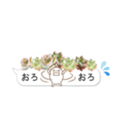 多肉スタンプ 日常会話（個別スタンプ：26）