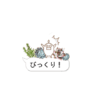 多肉スタンプ 日常会話（個別スタンプ：27）