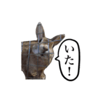ネザーランドドワーフ マイハニー（個別スタンプ：13）