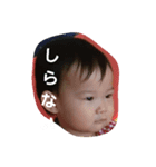 HIMARI@365Days（個別スタンプ：4）