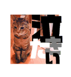 デカ文字で日常会話キャットニャー（個別スタンプ：3）