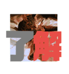 デカ文字で日常会話キャットニャー（個別スタンプ：8）