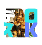 デカ文字で日常会話キャットニャー（個別スタンプ：14）