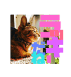 デカ文字で日常会話キャットニャー（個別スタンプ：23）