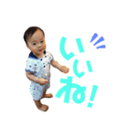 青澤家スタンプ（個別スタンプ：12）