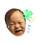 青澤家スタンプ（個別スタンプ：16）