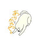 秋田犬のシロチャン（個別スタンプ：4）