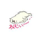 秋田犬のシロチャン（個別スタンプ：9）