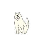 秋田犬のシロチャン（個別スタンプ：10）