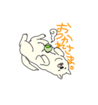 秋田犬のシロチャン（個別スタンプ：11）