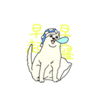 秋田犬のシロチャン（個別スタンプ：30）