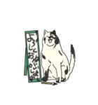 秋田犬のシロチャン（個別スタンプ：37）