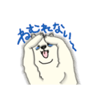 秋田犬のシロチャン（個別スタンプ：40）