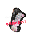 ダックスその他の愉快な仲間たちの日常8（個別スタンプ：10）