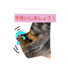 ダックスその他の愉快な仲間たちの日常8（個別スタンプ：15）