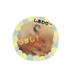 うちのキンクマハムスター3（個別スタンプ：9）