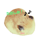 うちのキンクマハムスター3（個別スタンプ：13）
