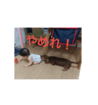 かずまくん4（個別スタンプ：7）