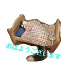 ヨシュアスタンプ。（個別スタンプ：2）