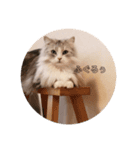 僕、ダニエルです。（個別スタンプ：1）