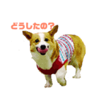 マロンたんだよ❤️（個別スタンプ：5）