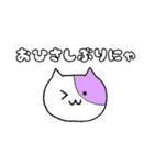 使える！ねこちゃん（個別スタンプ：3）