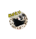 ふぇれすた。（個別スタンプ：7）