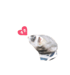 ふぇれすた。（個別スタンプ：14）