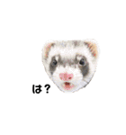 ふぇれすた。（個別スタンプ：35）