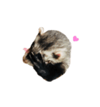 ふぇれすた。（個別スタンプ：37）