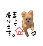 五十嵐家のきなこさん（個別スタンプ：8）