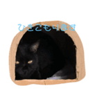 holy  ’ K ’ night（個別スタンプ：2）